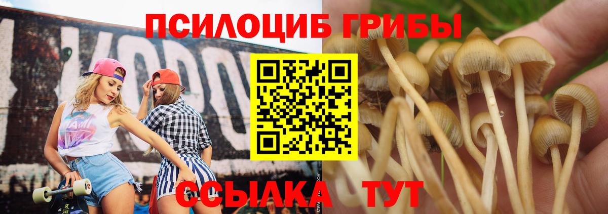Псилоцибиновые грибы Magic Shrooms Нерюнгри